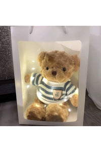 Teddy Bear Plush Toy